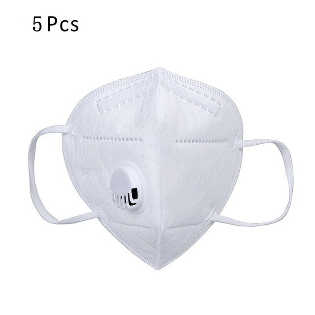 5Pcs Reusable KN95 Face Mask